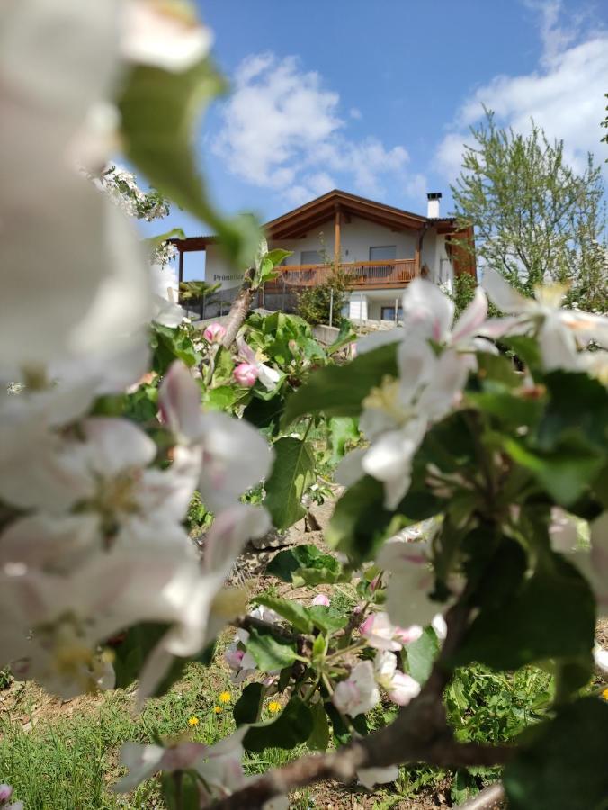 Apartamento Prünsterhof Scena Exterior foto