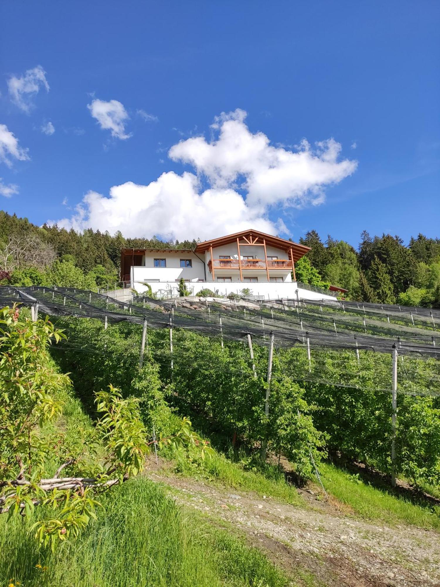 Apartamento Prünsterhof Scena Exterior foto